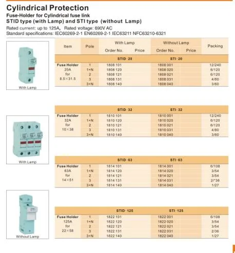 House Service Fuse Cut out Protection